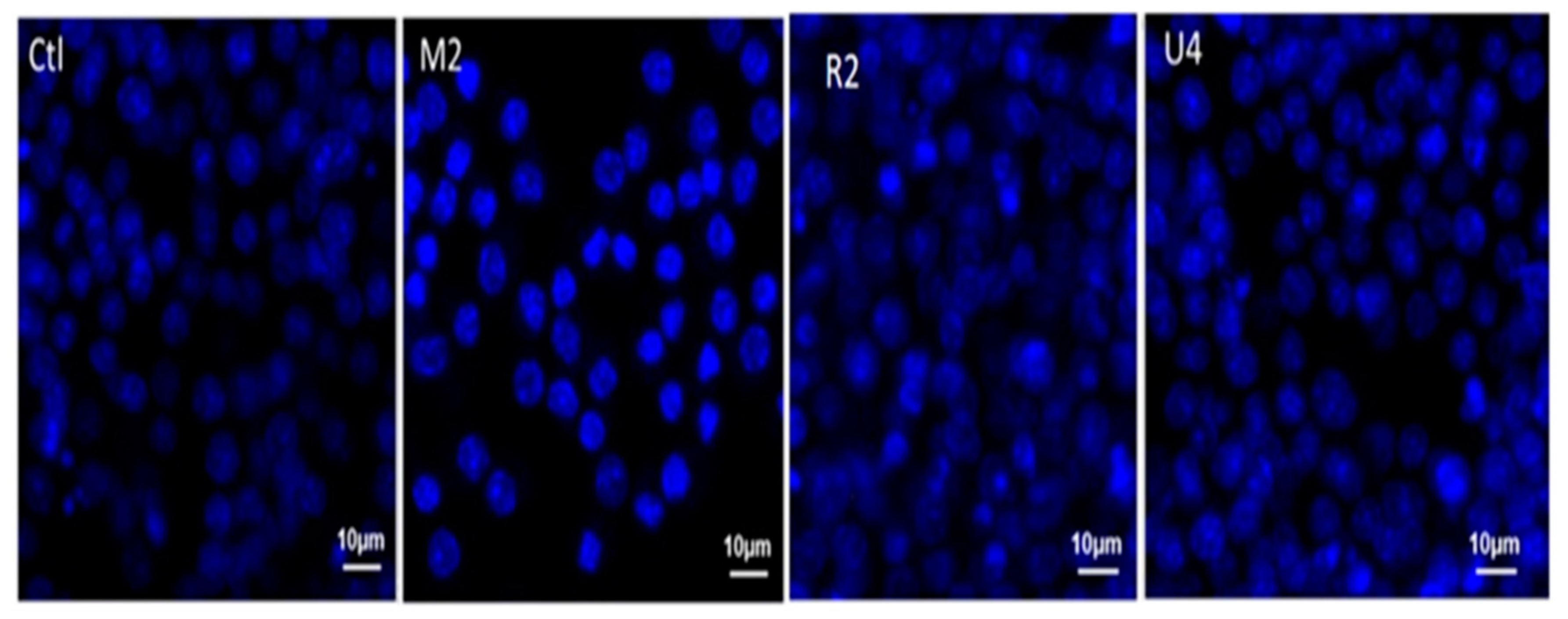 Atmosphere 13 00080 g012 Atmosphere 13 00080 g012