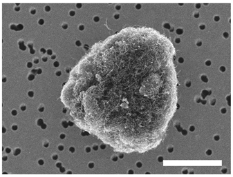 Atmosphere 13 00202 i001