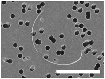 Atmosphere 13 00202 i002