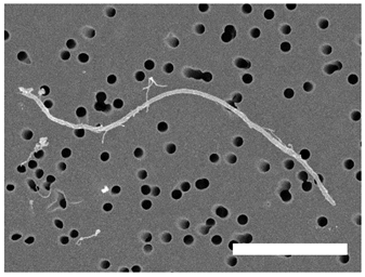 Atmosphere 13 00202 i004