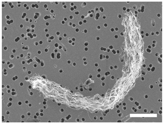 Atmosphere 13 00202 i005