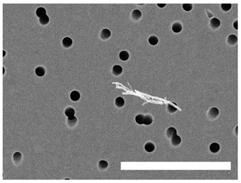 Atmosphere 13 00202 i008