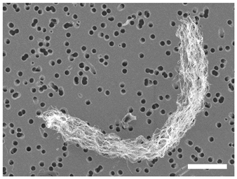 Atmosphere 13 00202 i010