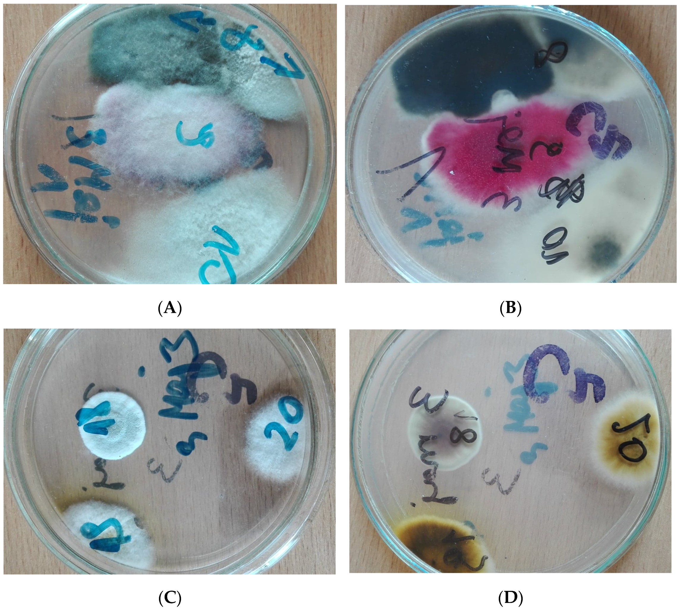 Atmosphere 13 00207 g001