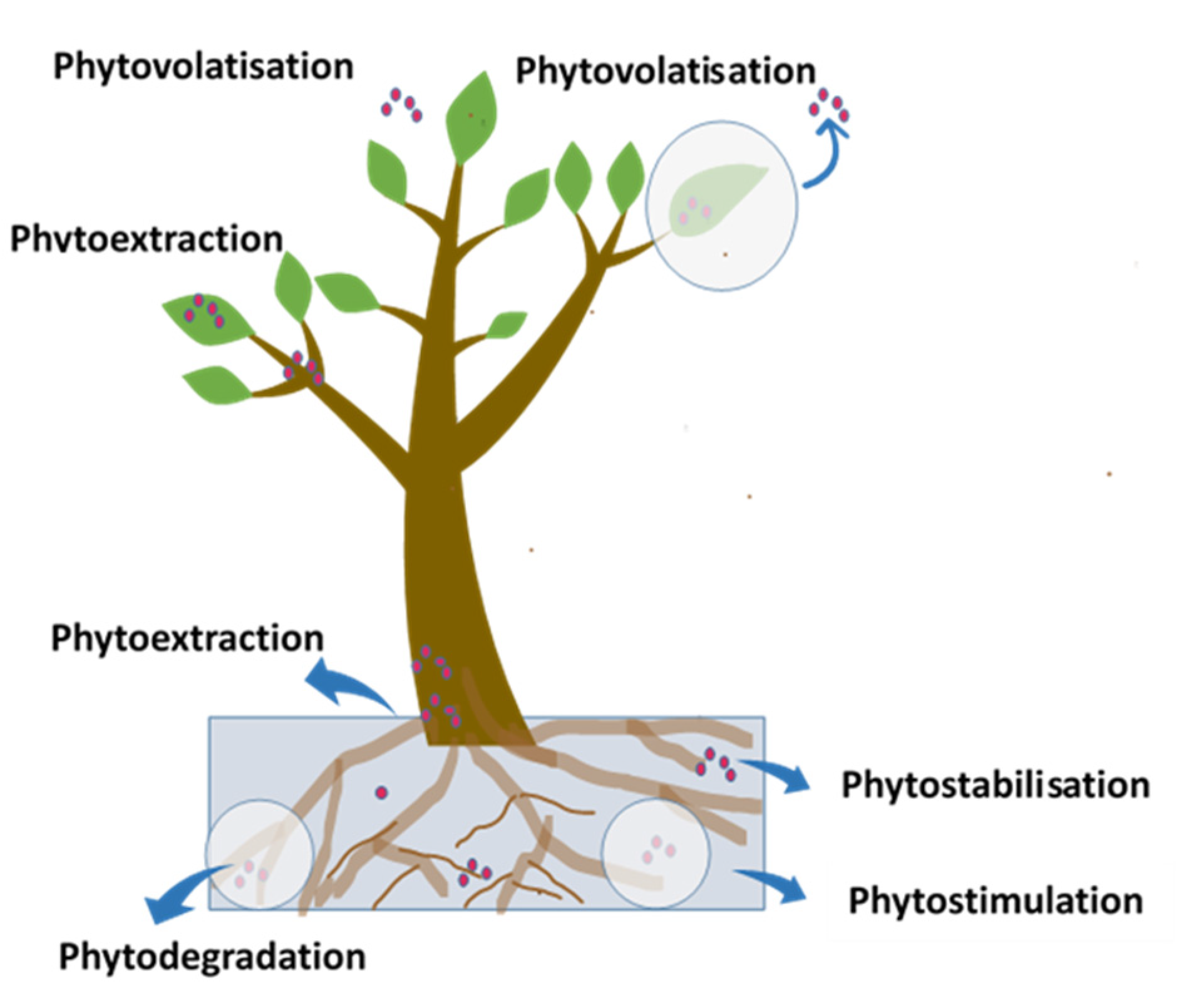 Atmosphere 13 00374 g003