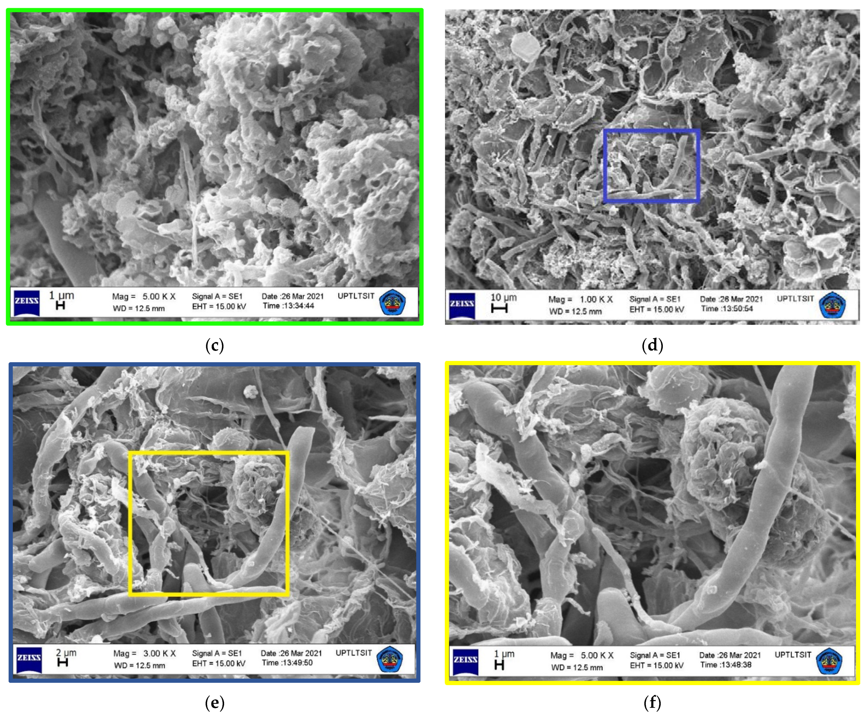 Atmosphere 13 00633 g004b 550