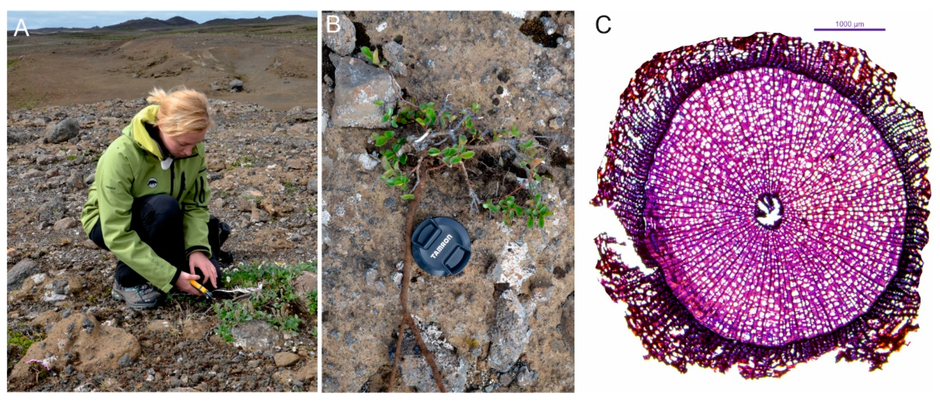 Atmosphere 13 00718 g002