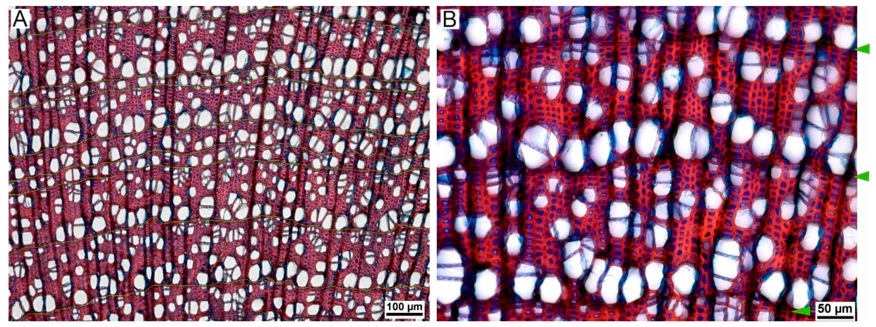 Atmosphere 13 00718 g003