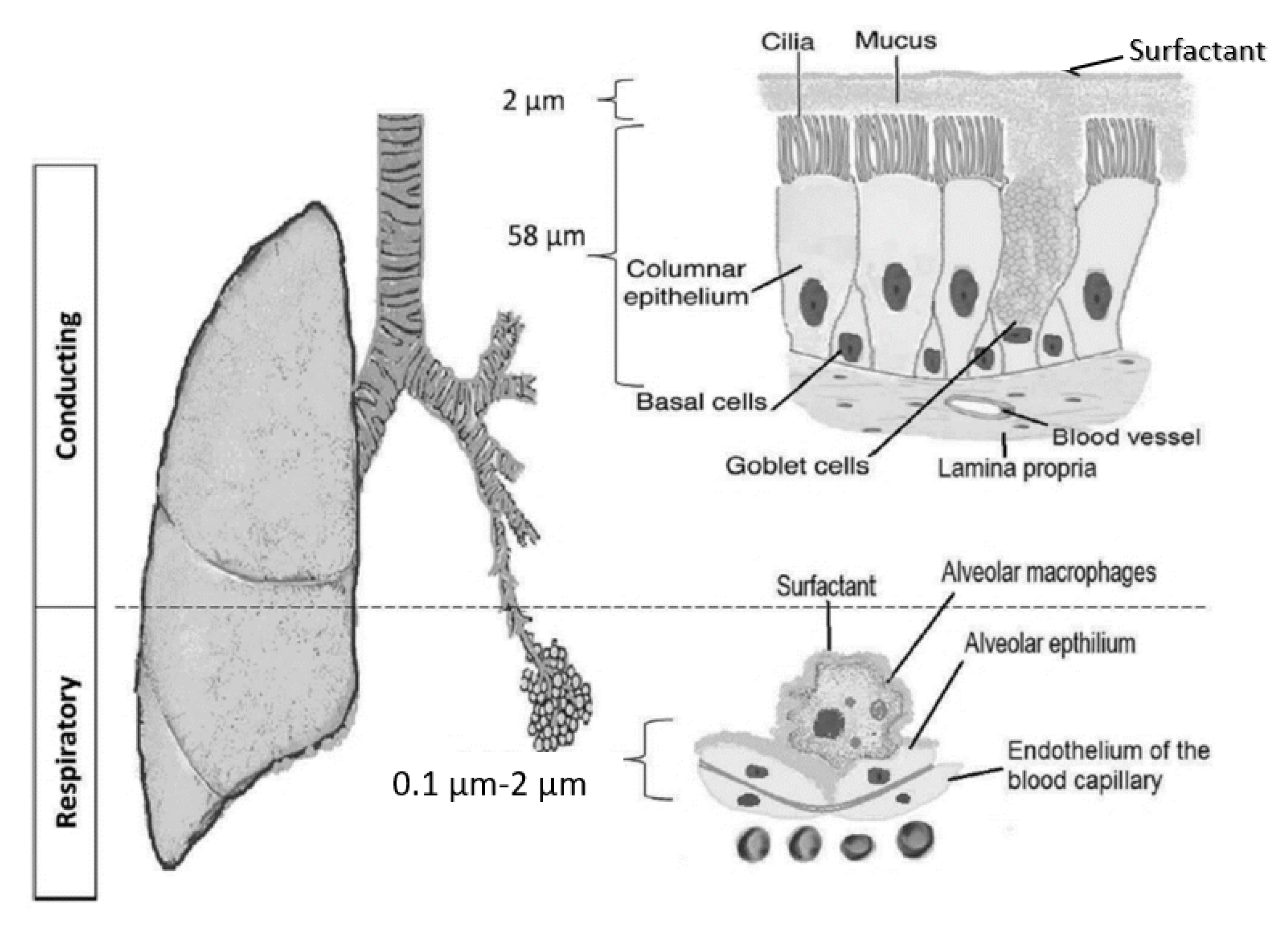 Atmosphere 13 00726 g001 Atmosphere 13 00726 g001