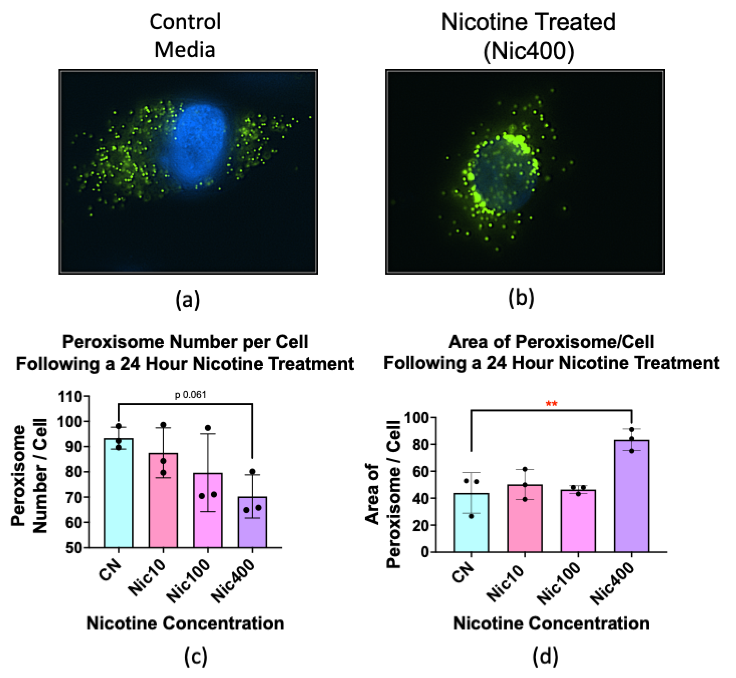 Atmosphere 13 00810 g006 Atmosphere 13 00810 g006