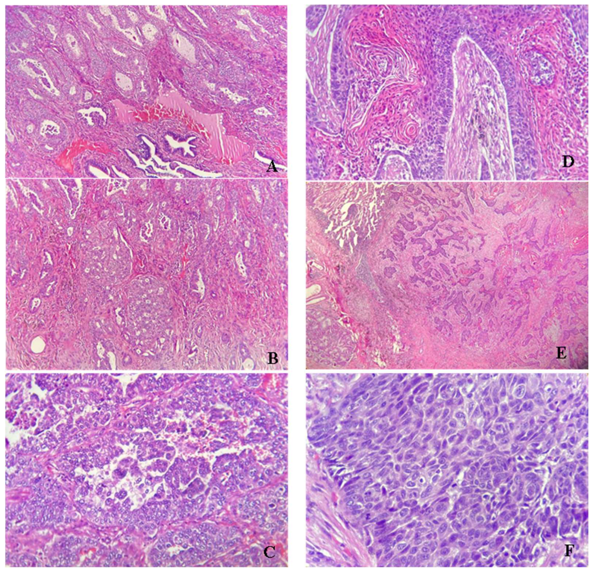 Atmosphere 13 00902 g008