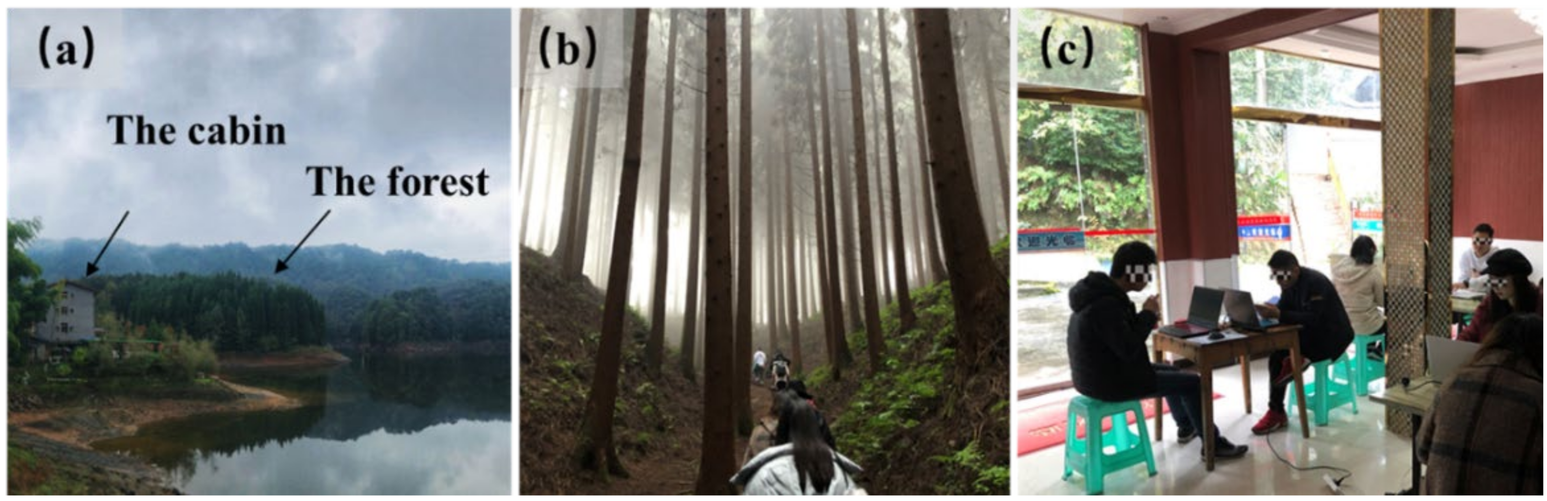 Explore the Benefits of Natural Air: New Insights from Field
