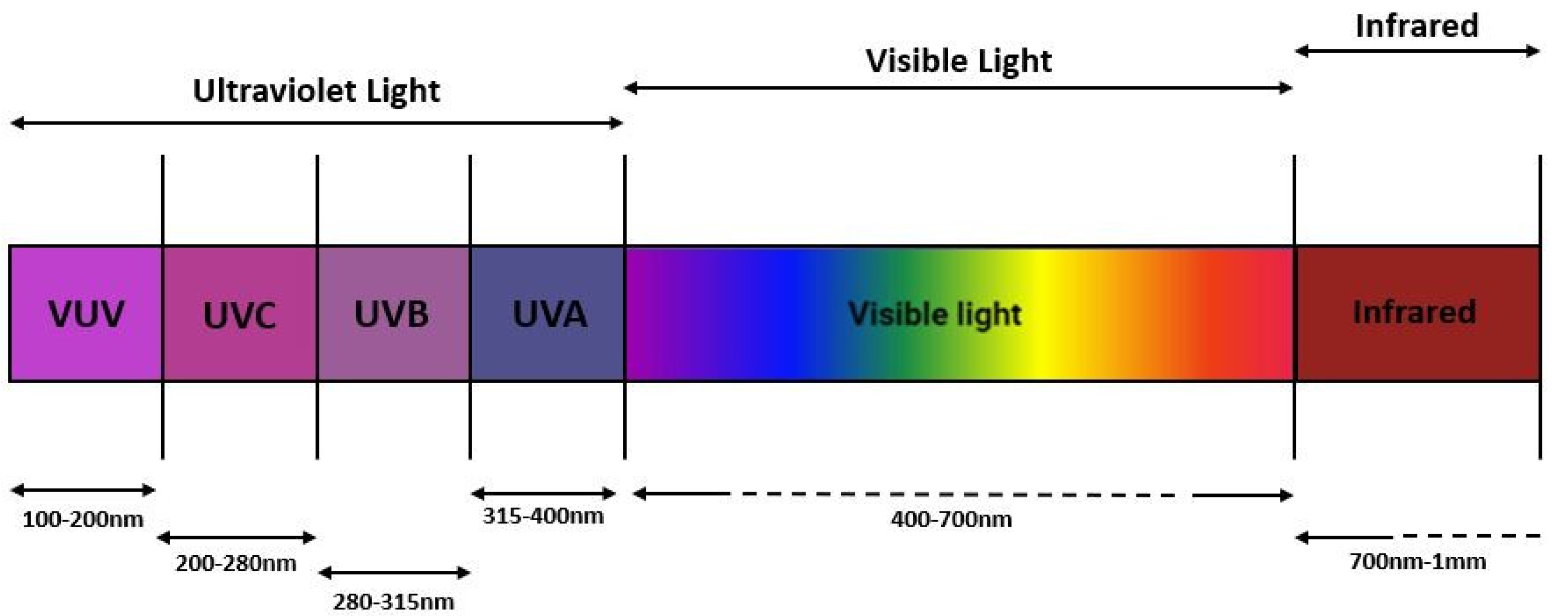 Staphylococcus Epidermidis is Inactivated by Germicidal UV-C Light