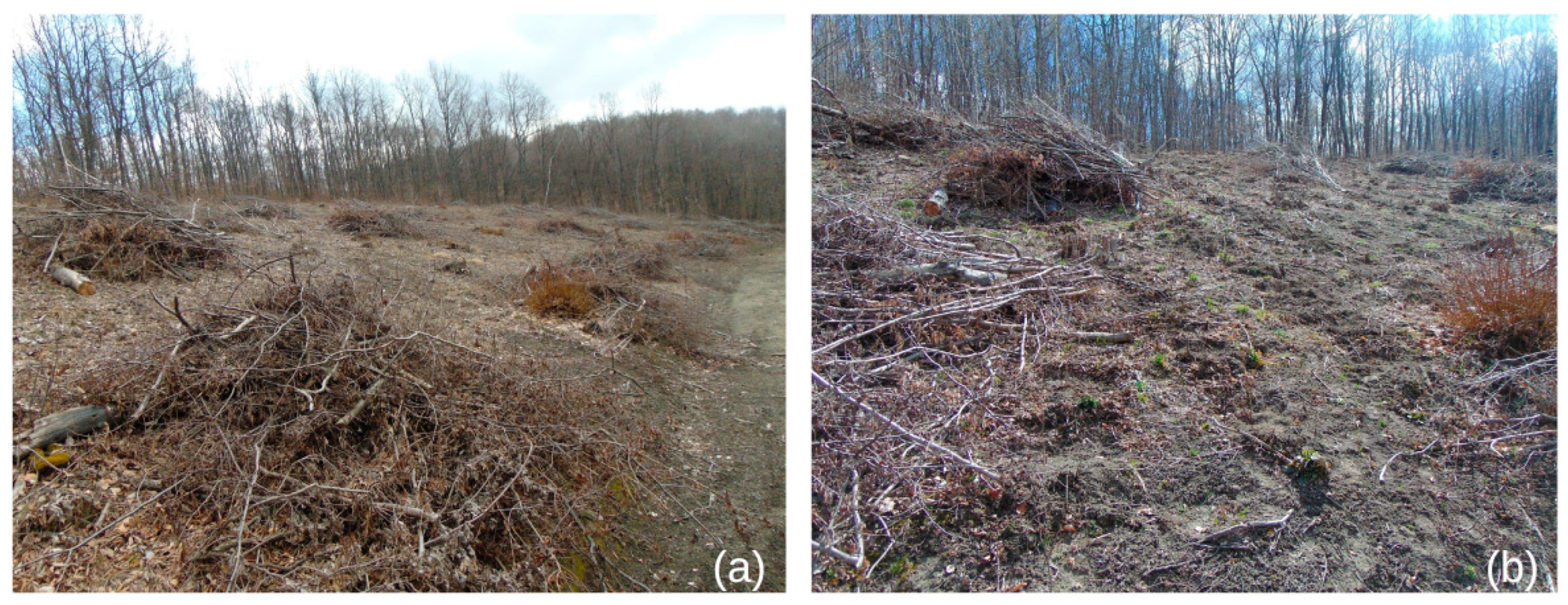 Atmosphere 13 01452 g005 550