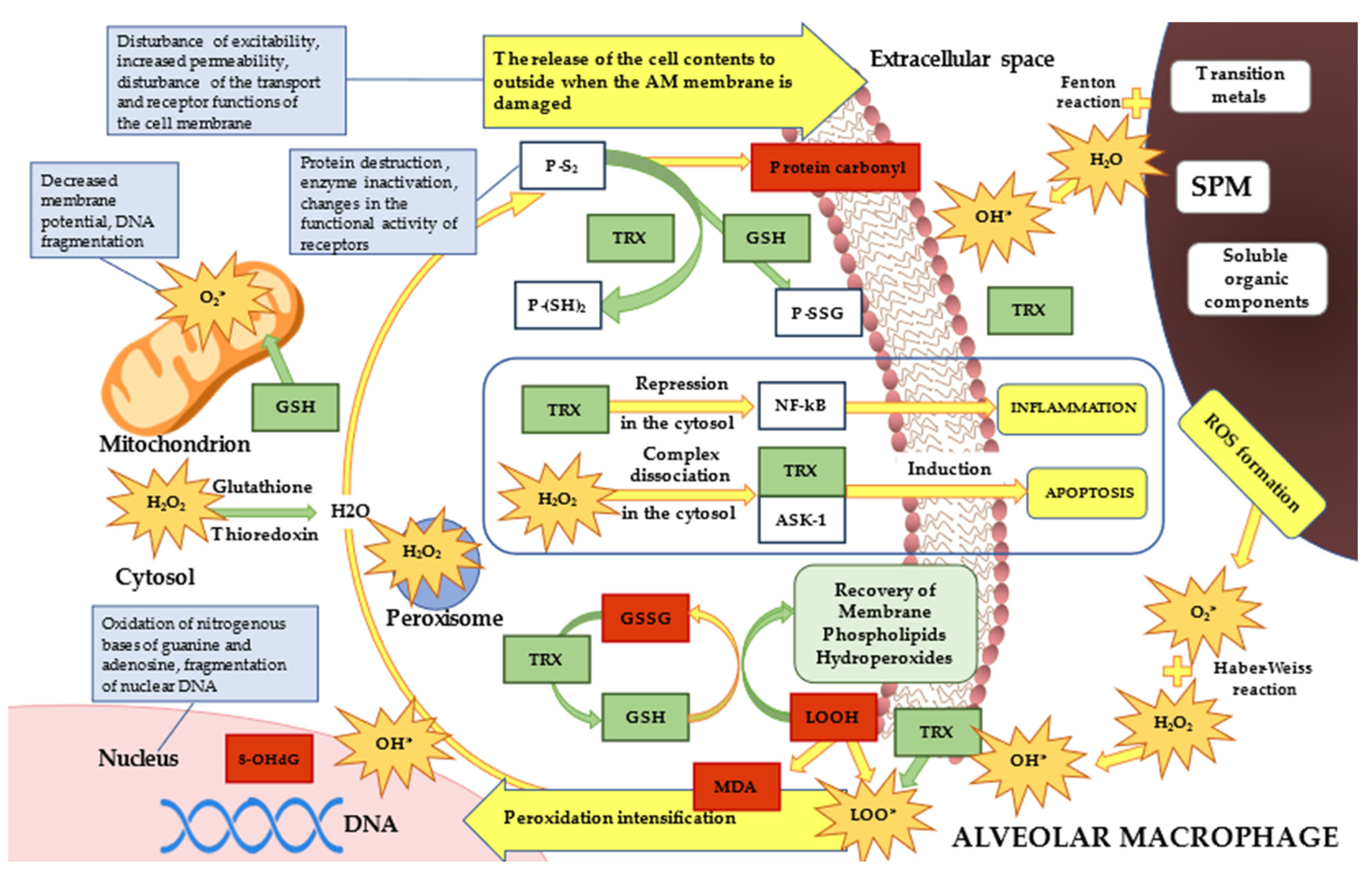 Atmosphere 13 01500 g008 550