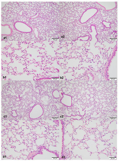 Ozone-Induced Lung and Bronchial Injury: A Mouse Model Study