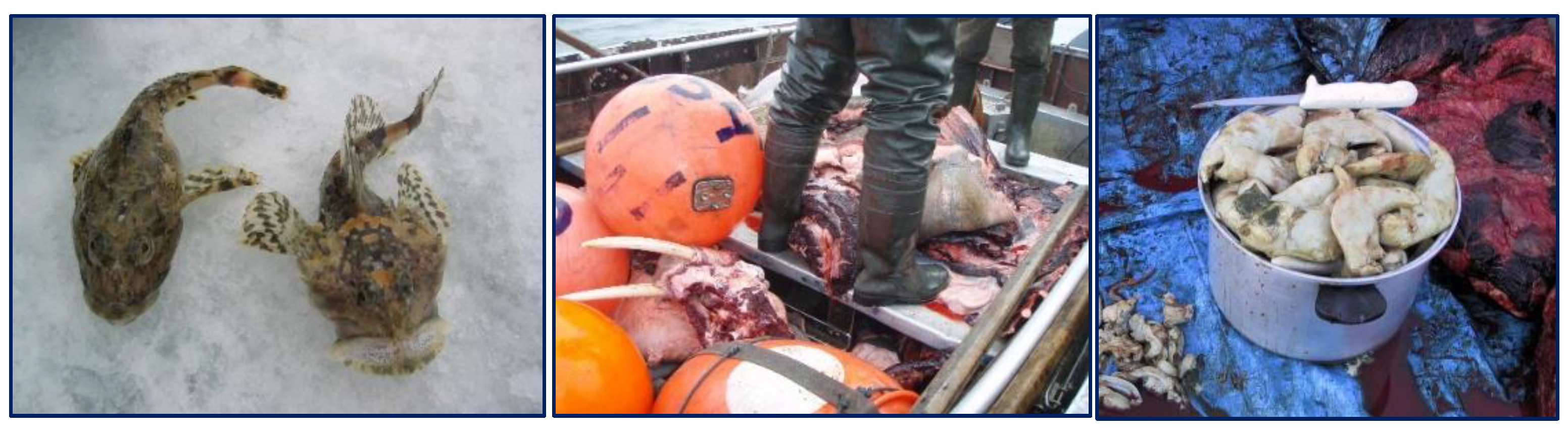 Atmosphere 13 01670 g007