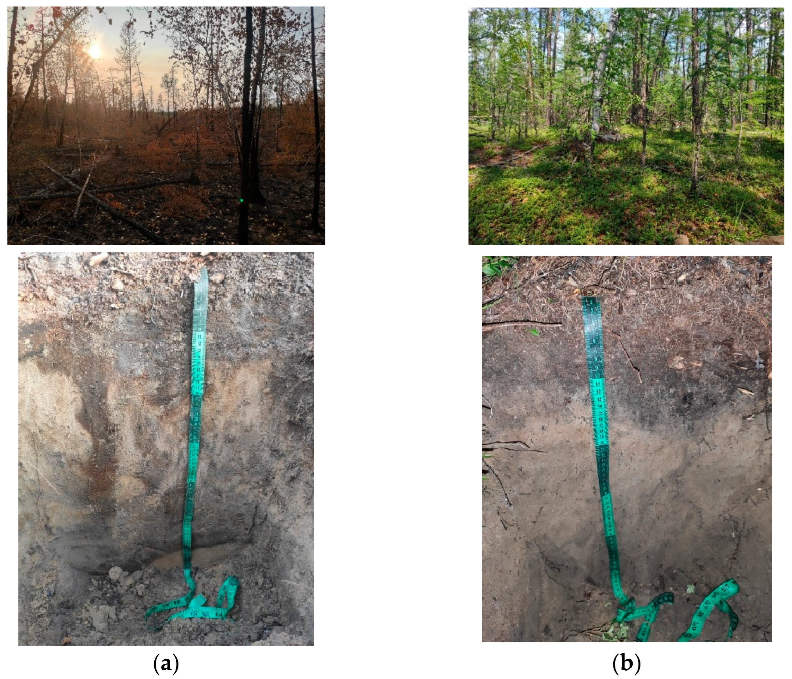 Atmosphere 13 01889 g002 Atmosphere 13 01889 g002