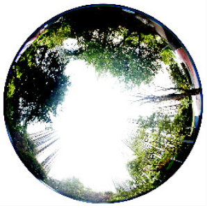 Atmosphere 13 02016 i001