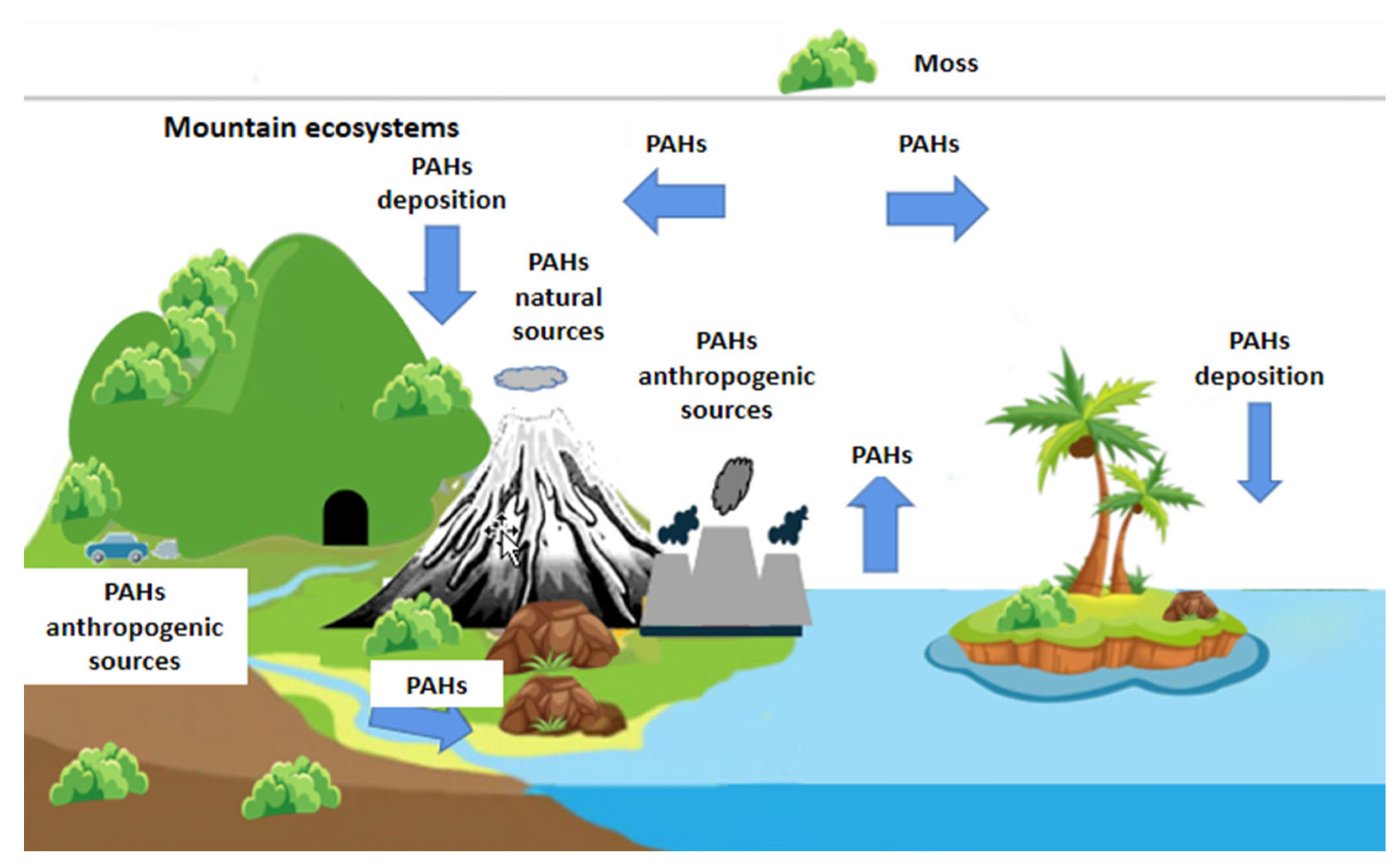 Biomonitoring Atmospheric Pollution of Polycyclic Aromatic