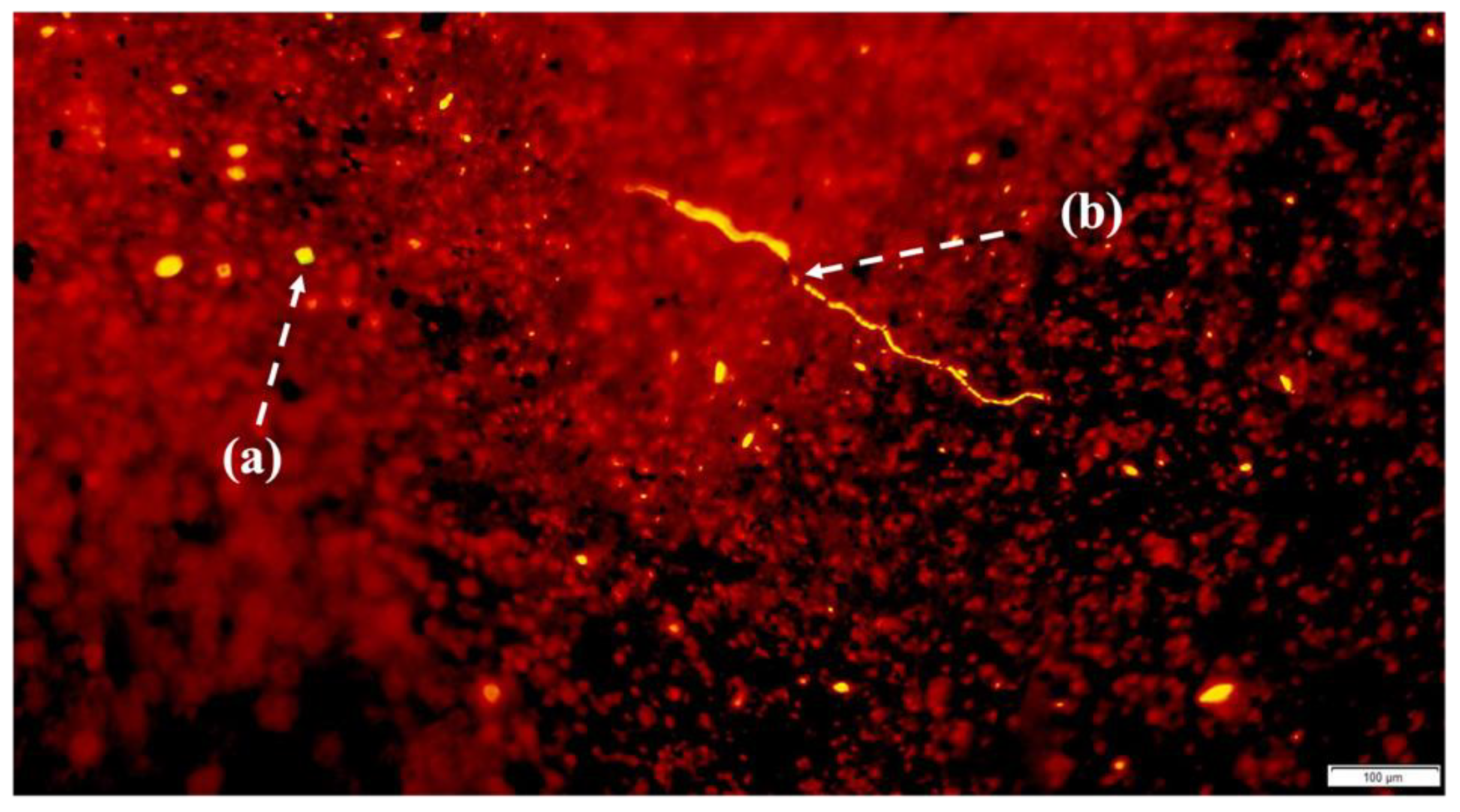 Atmosphere 14 00028 g003 Atmosphere 14 00028 g003