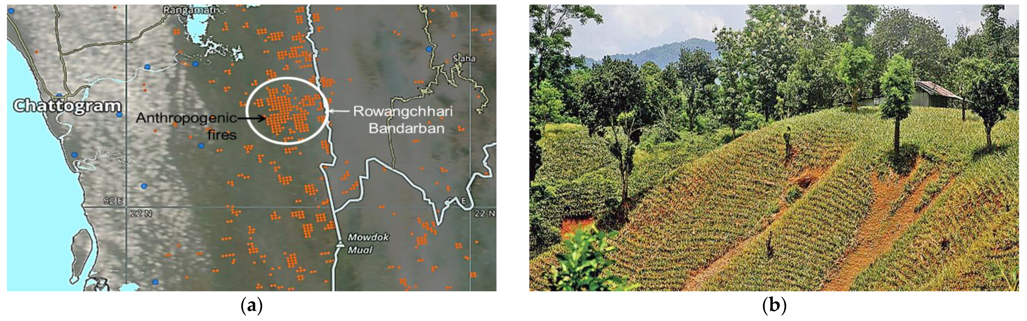 Atmosphere 14 00097 g002 Atmosphere 14 00097 g002