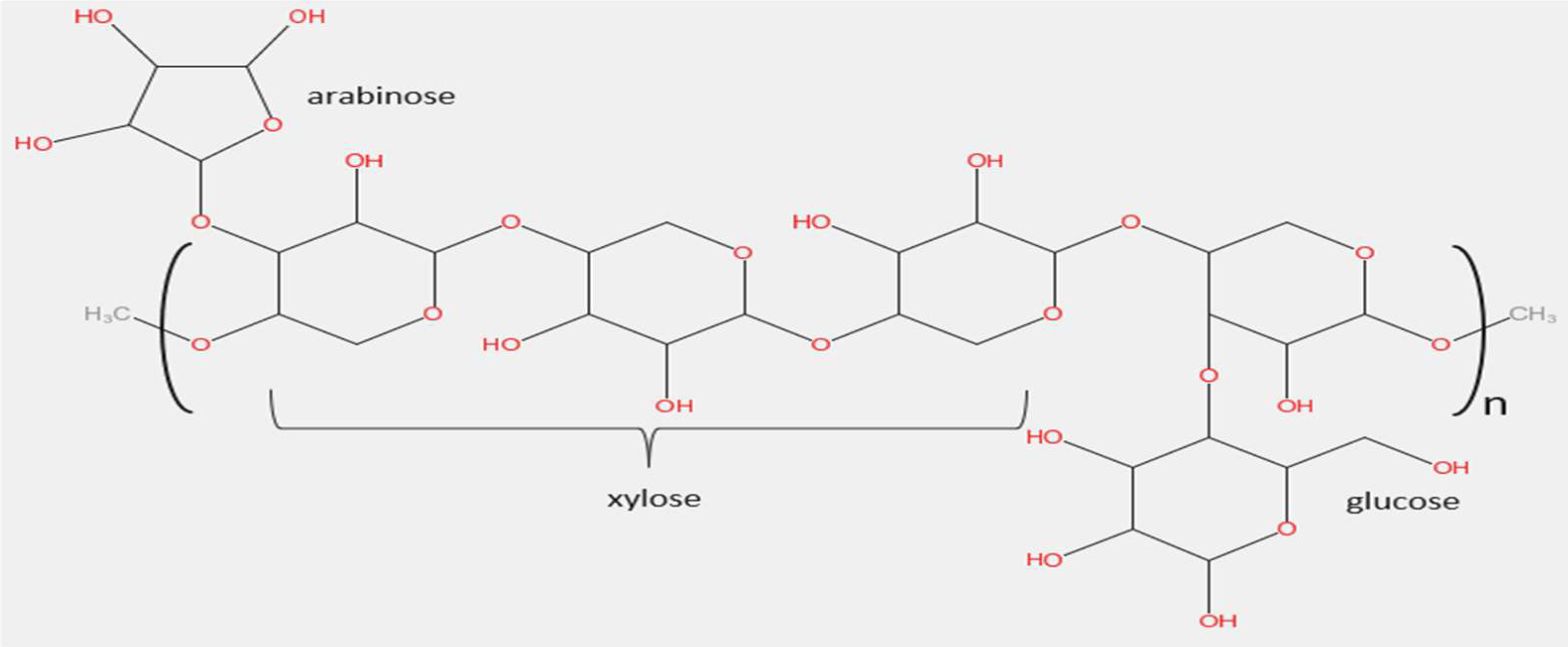 Atmosphere 14 00184 g001