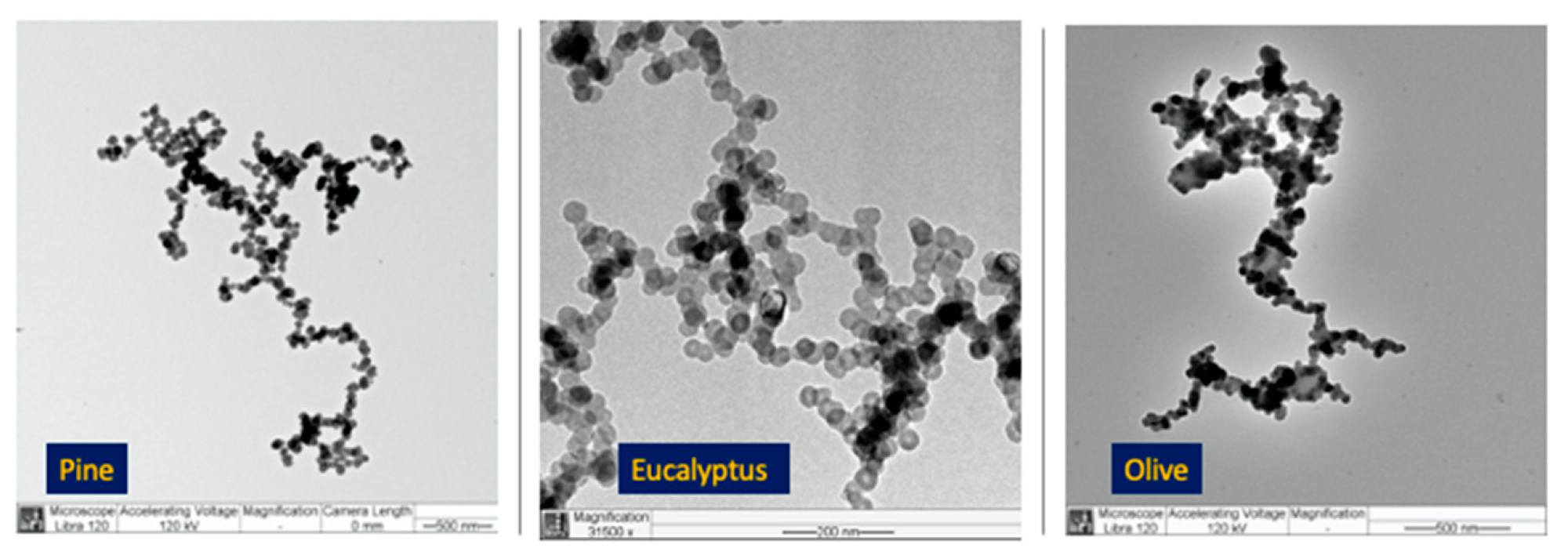 Atmosphere 14 00221 g004 Atmosphere 14 00221 g004