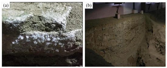 Study on Barriers of Water Salt Transfers in Earthen Sites by 