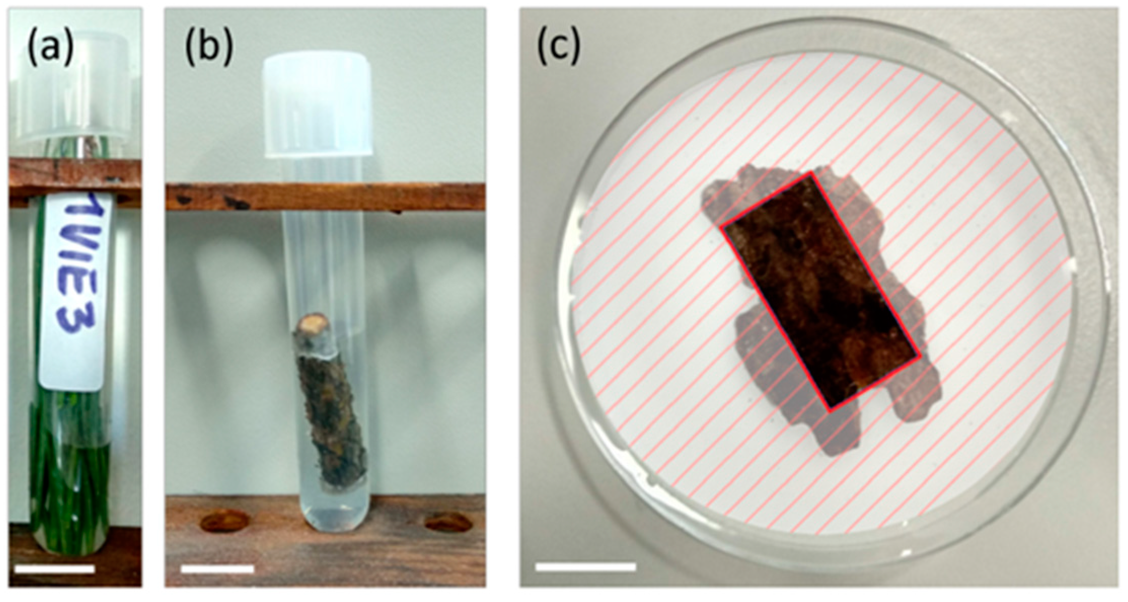 Atmosphere 14 00266 g002 Atmosphere 14 00266 g002
