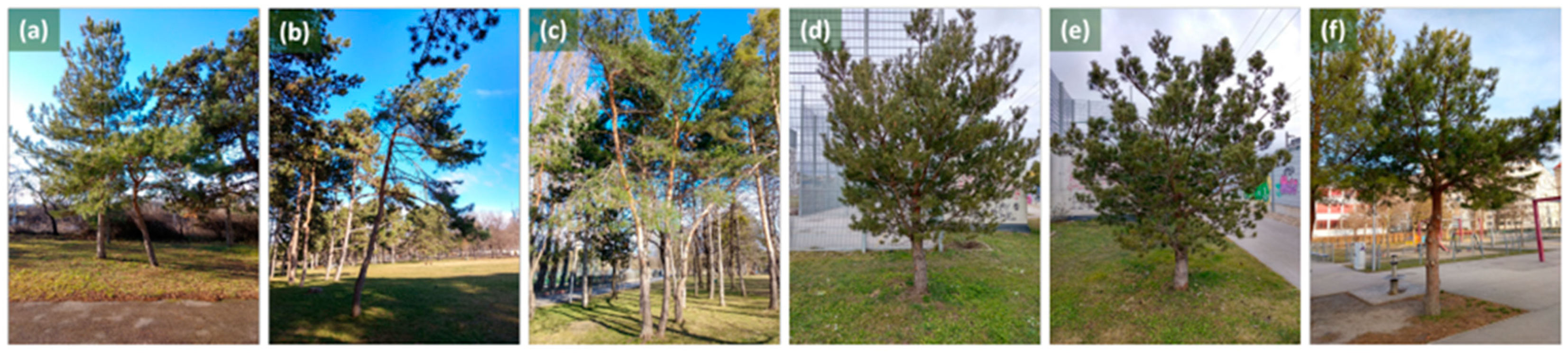 Atmosphere 14 00266 g0a1 Atmosphere 14 00266 g0a1