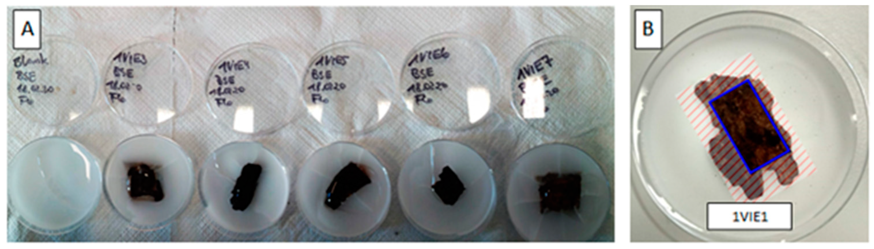 Atmosphere 14 00266 g0a4 Atmosphere 14 00266 g0a4