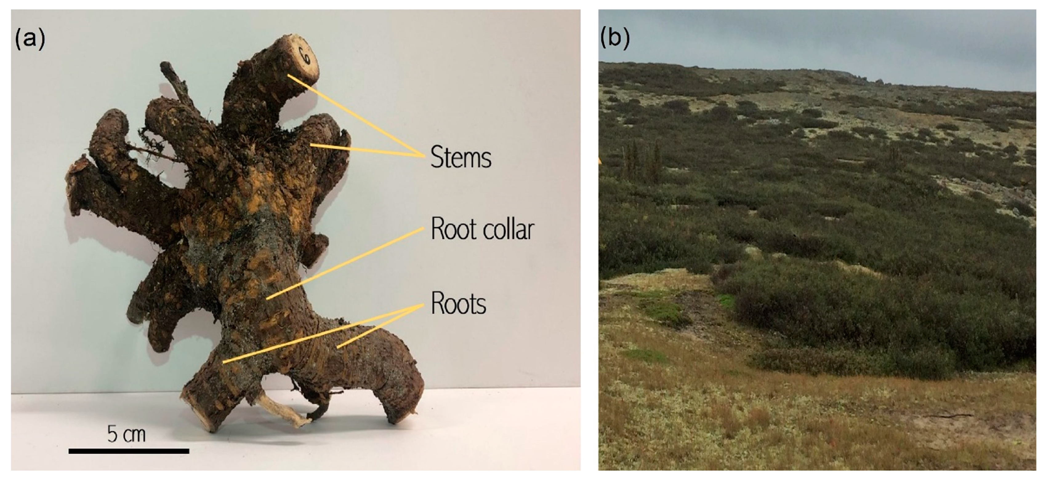 Atmosphere 14 00319 g001 Atmosphere 14 00319 g001