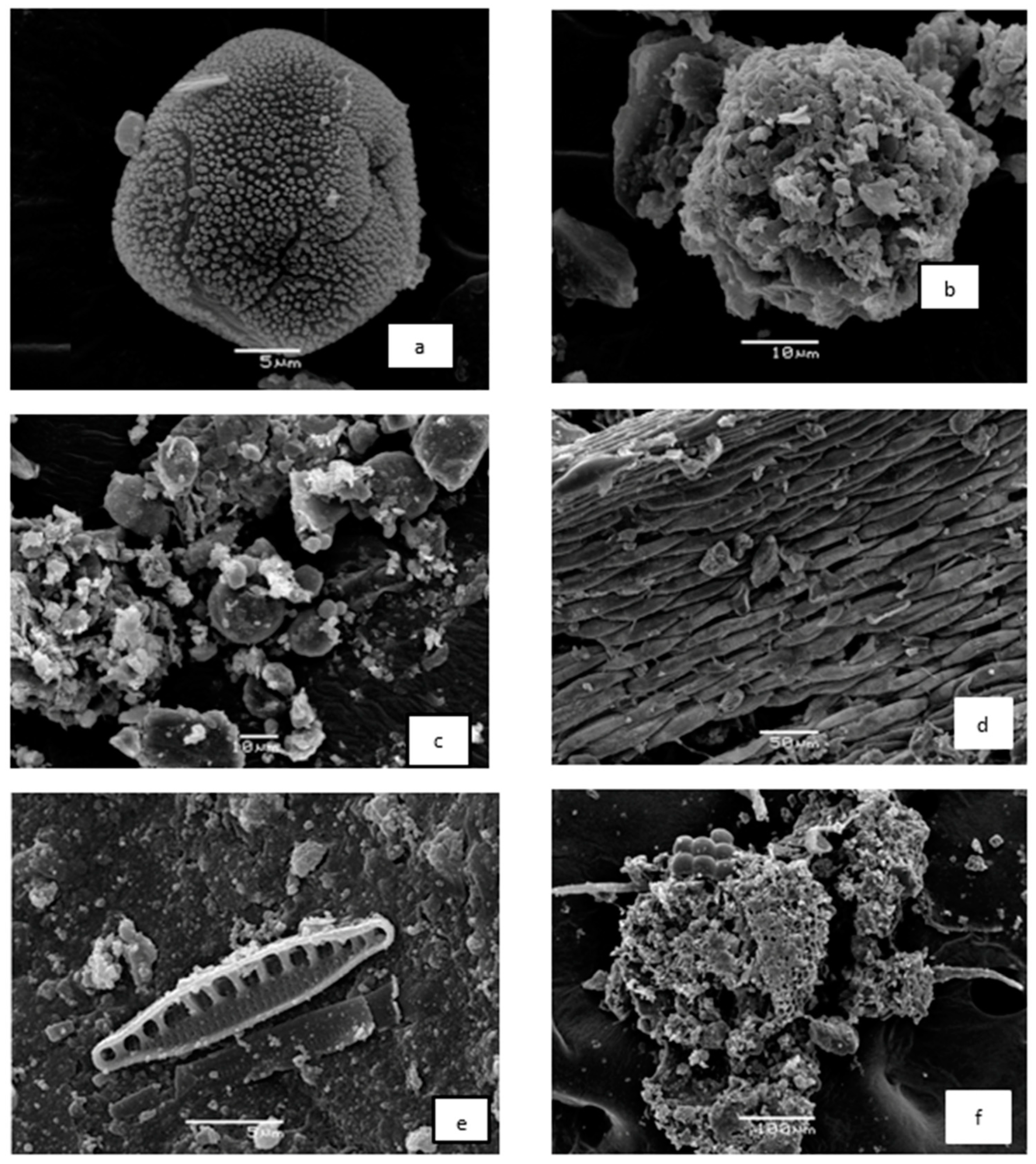 Atmosphere 14 00403 g002