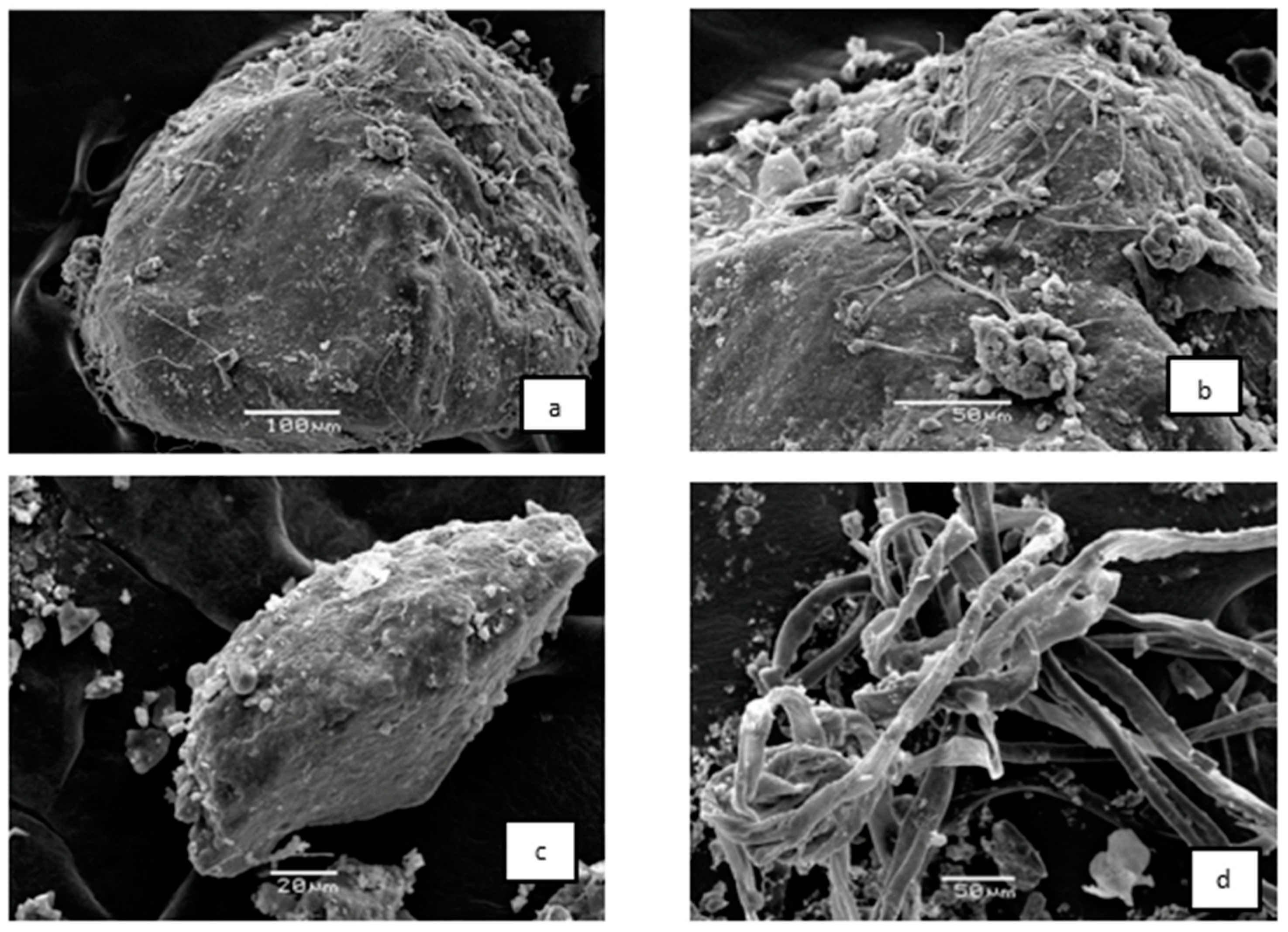 Atmosphere 14 00403 g003