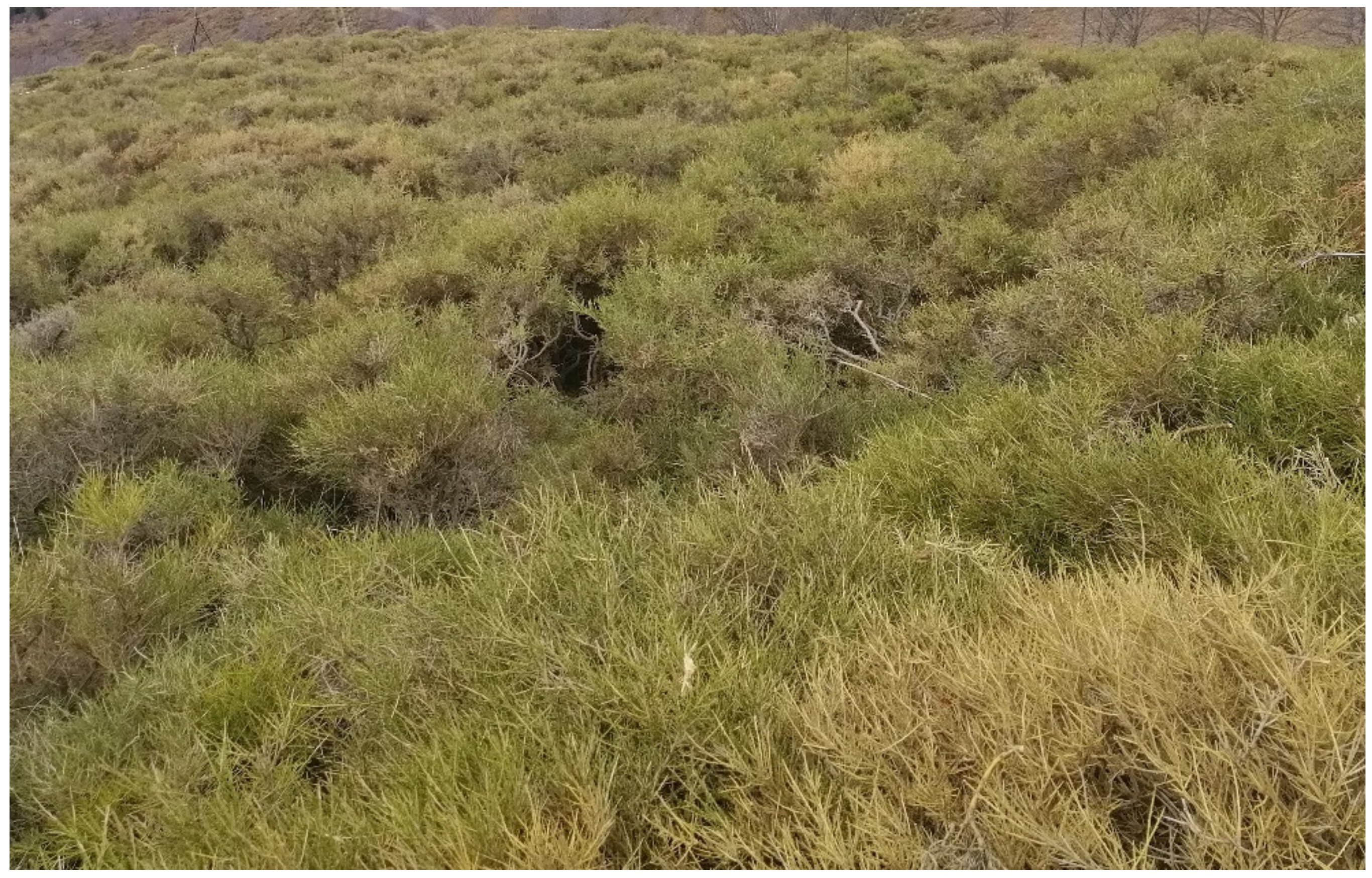 Atmosphere 14 00473 g002 Atmosphere 14 00473 g002