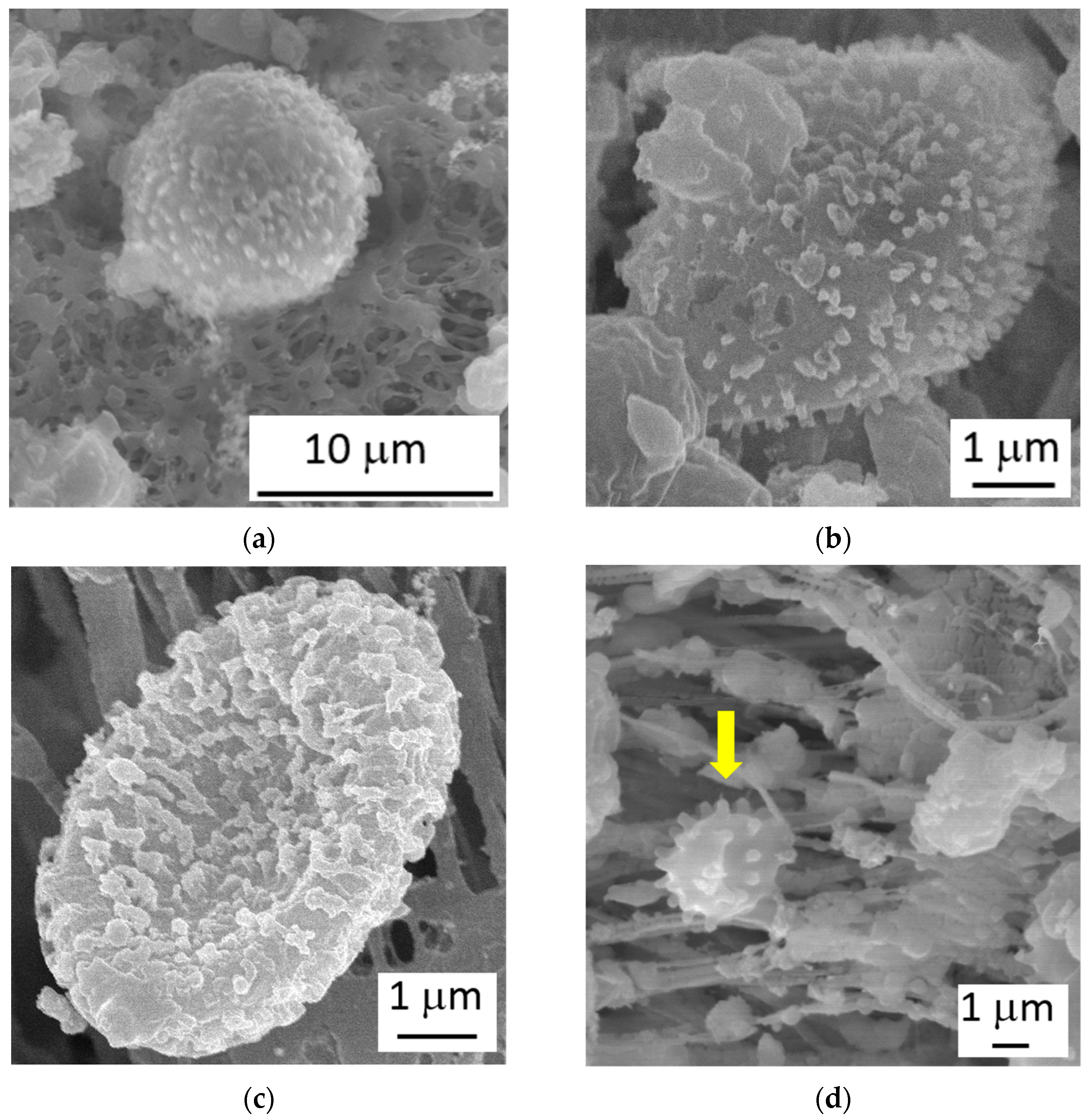 Atmosphere 14 00504 g001