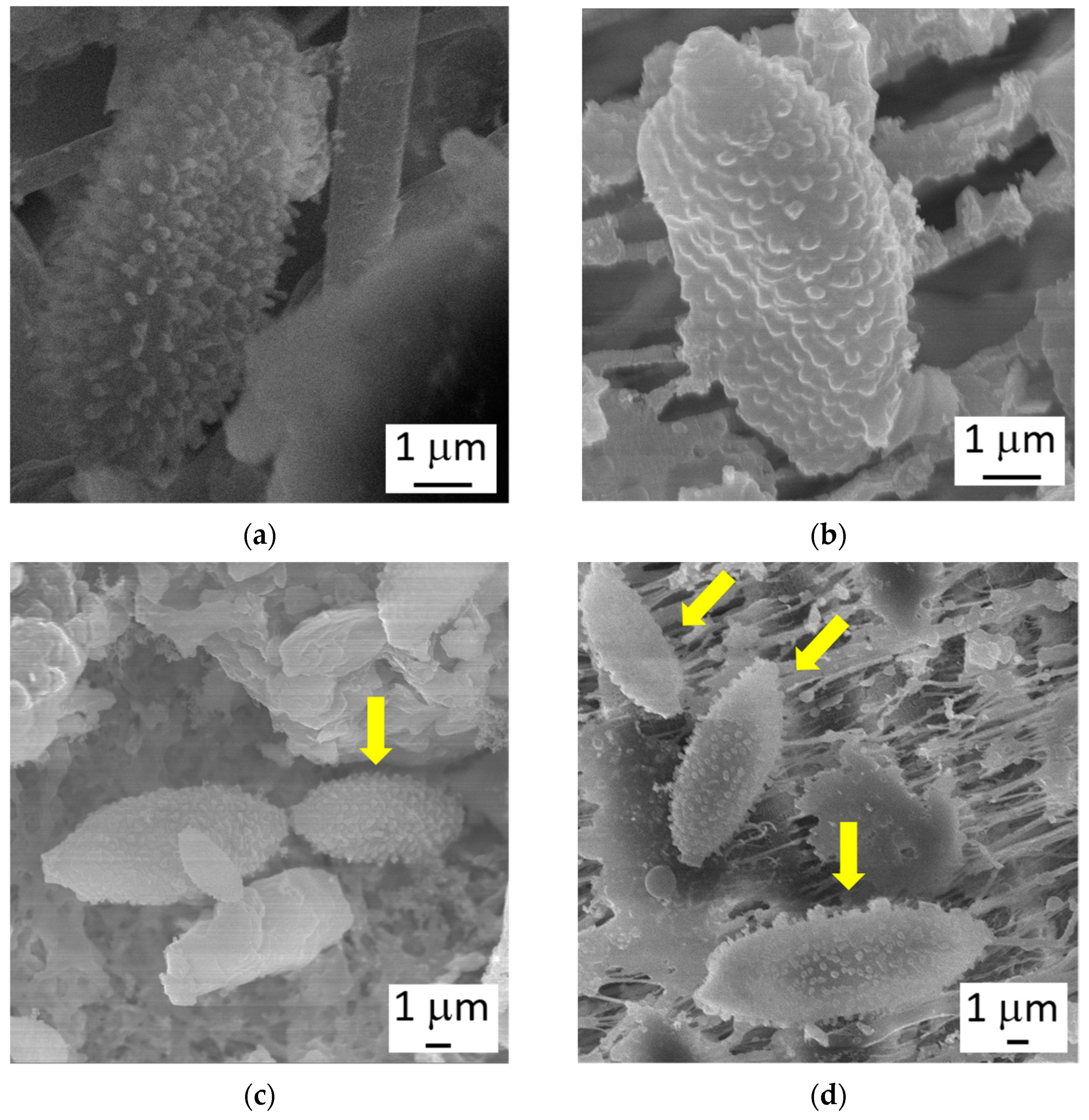 Atmosphere 14 00504 g002