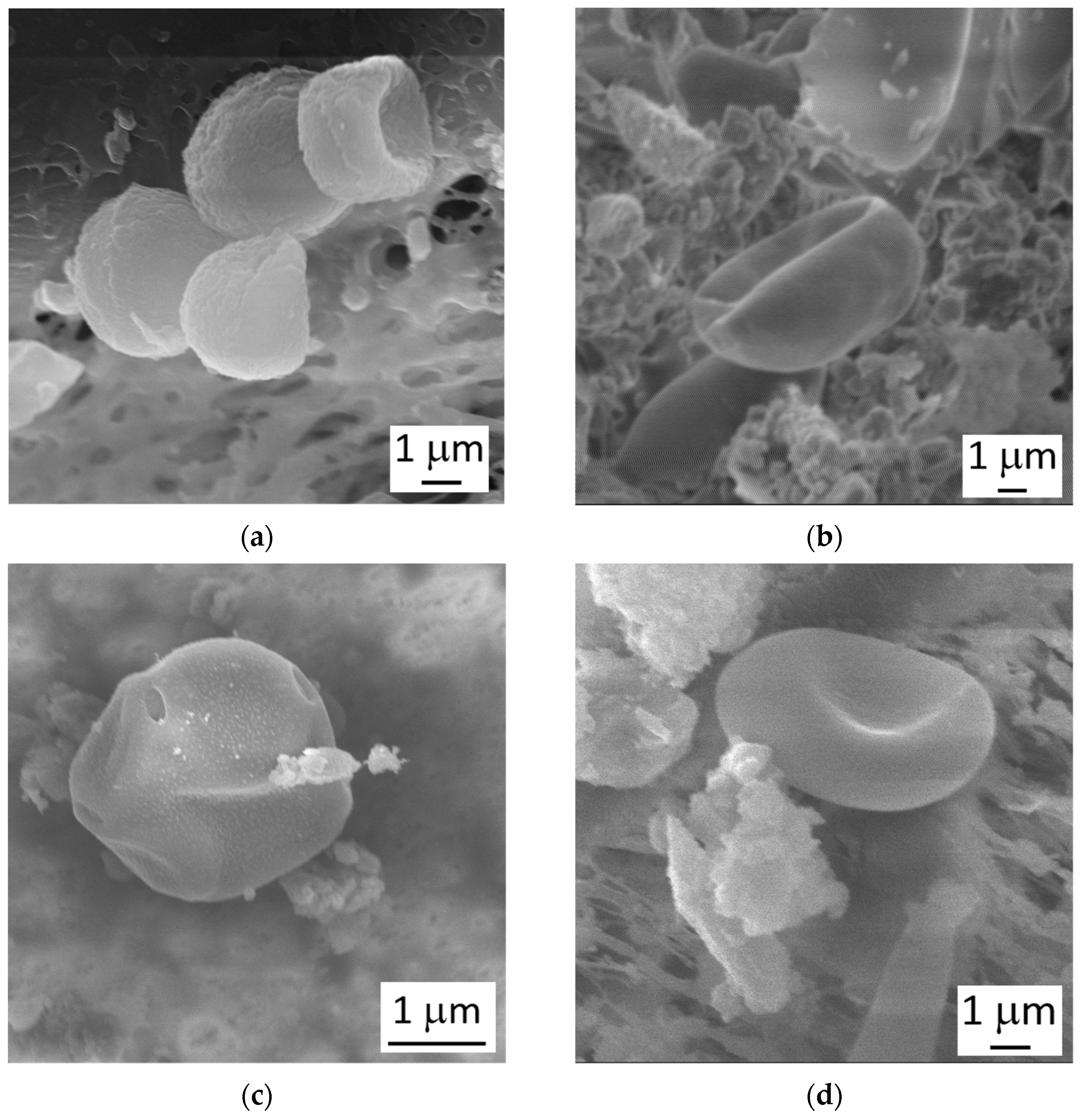 Atmosphere 14 00504 g003