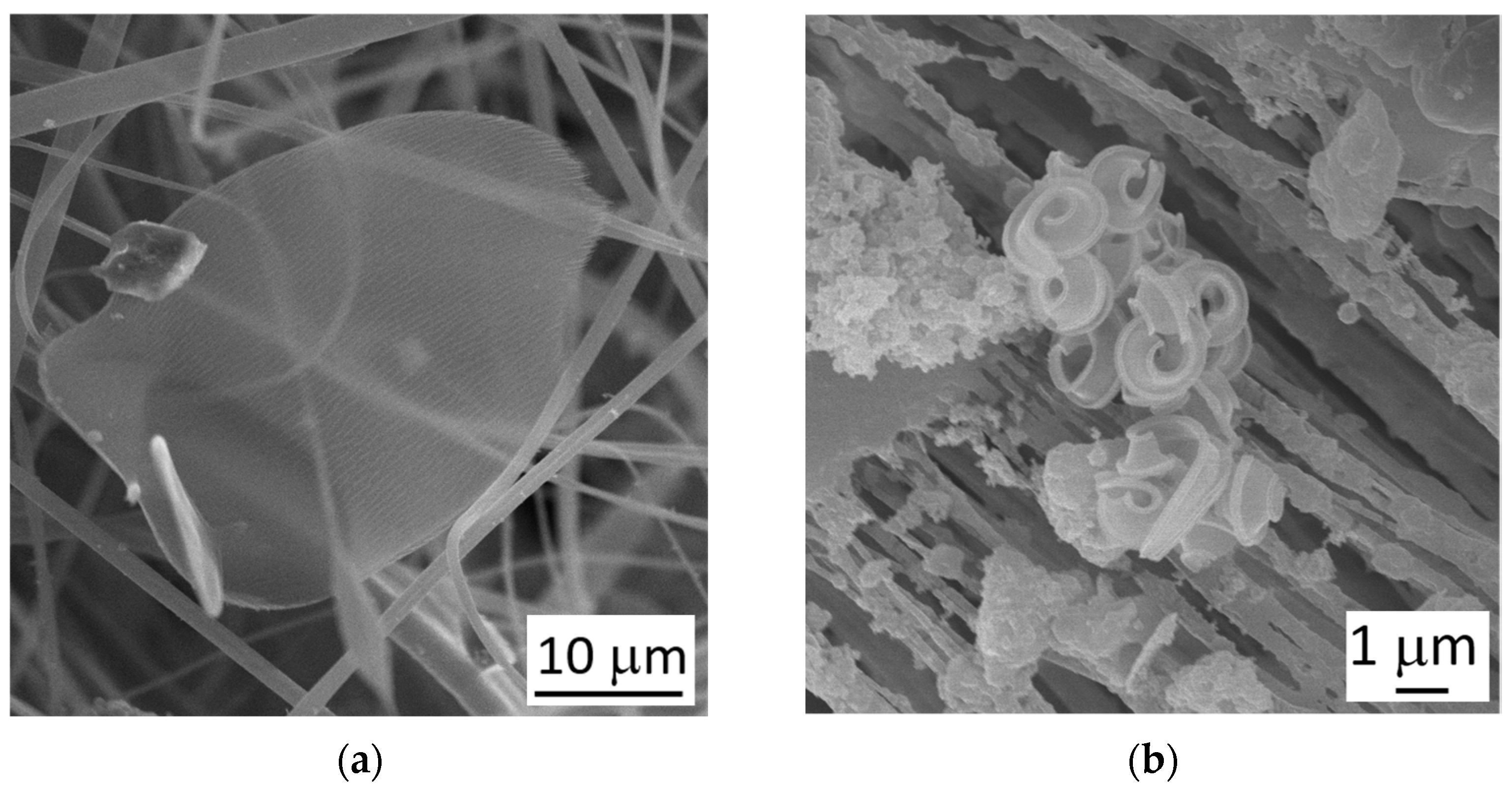 Atmosphere 14 00504 g004