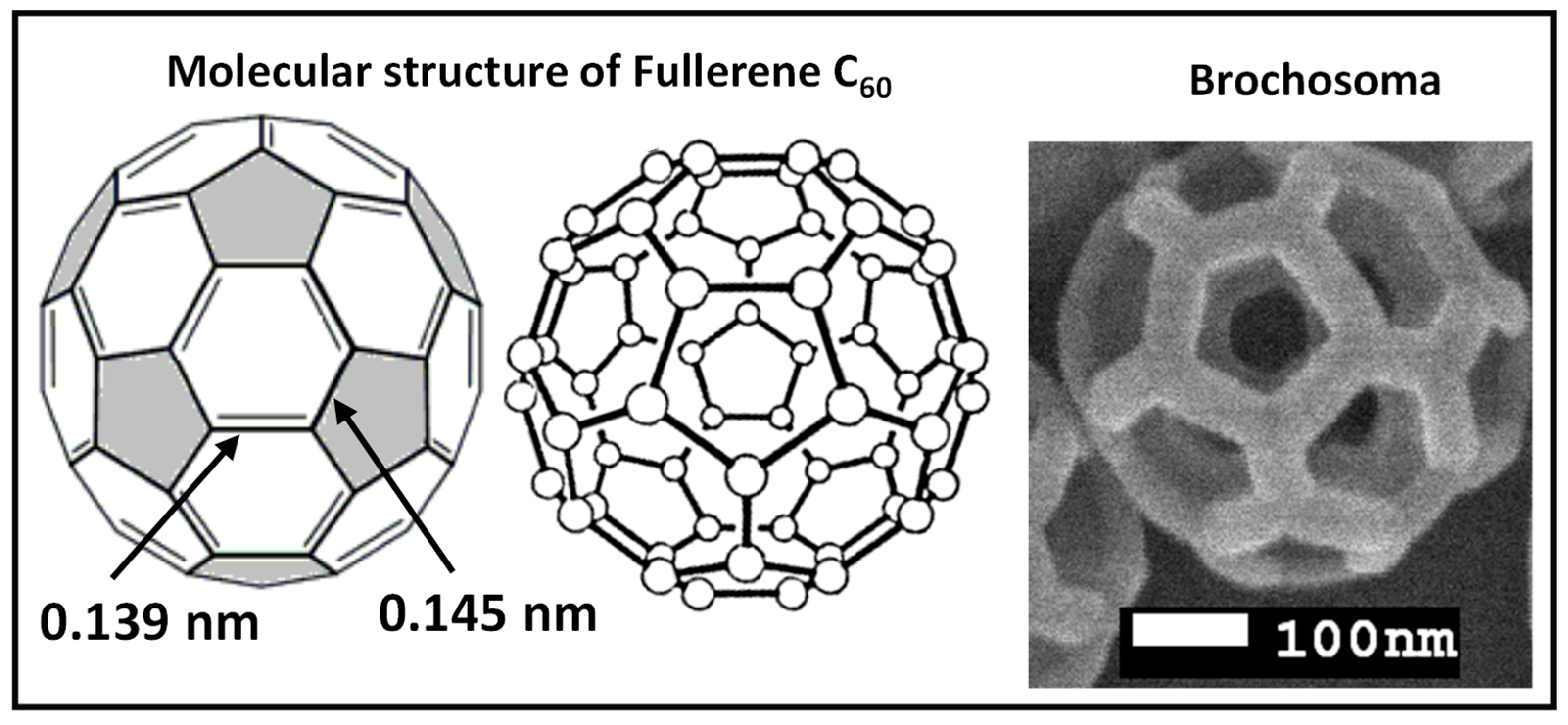 Atmosphere 14 00504 g005