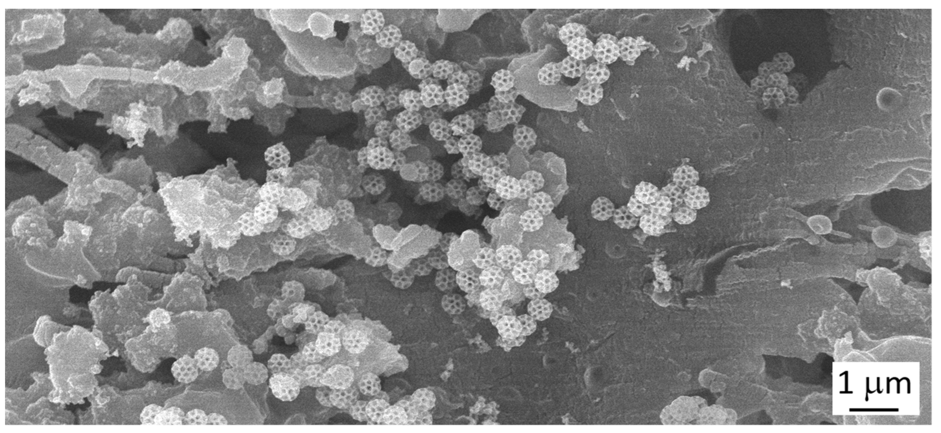 Atmosphere 14 00504 g007