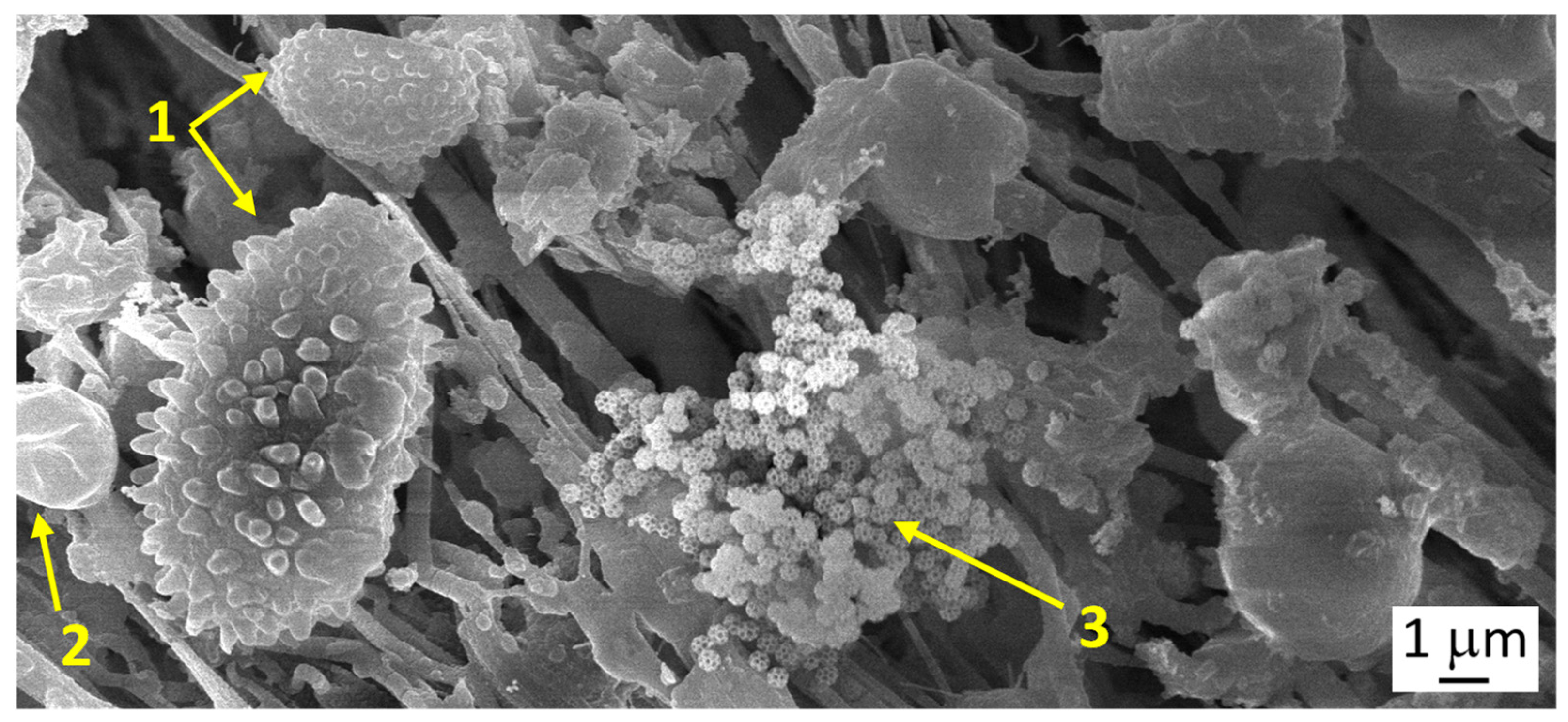 Atmosphere 14 00504 g008