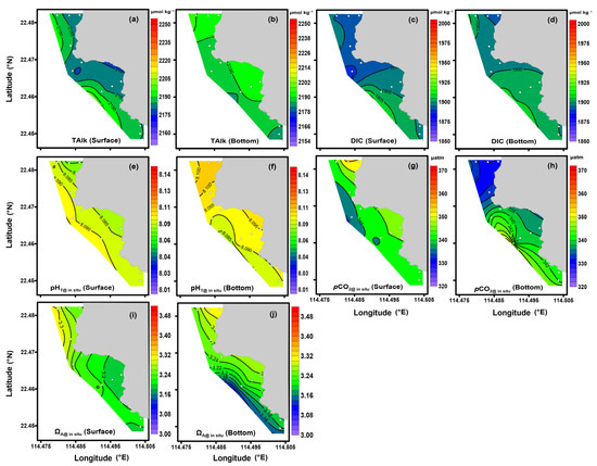 Multiple Factors Driving Carbonate System in Subtropical