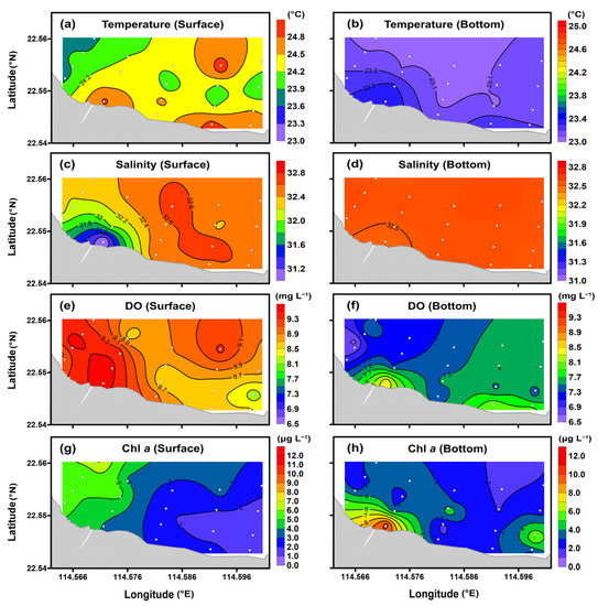 Multiple Factors Driving Carbonate System in Subtropical