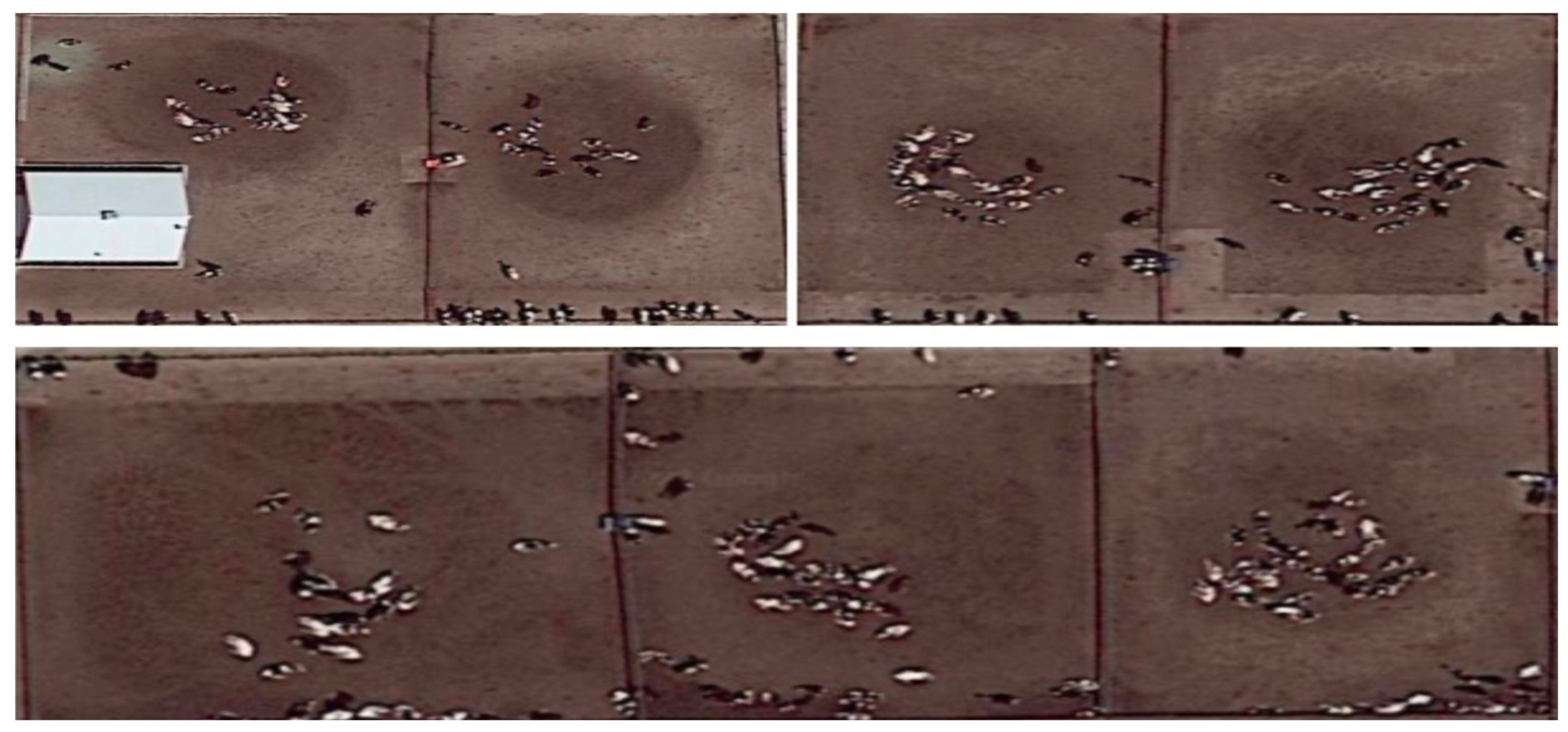 Atmosphere 14 00771 g005