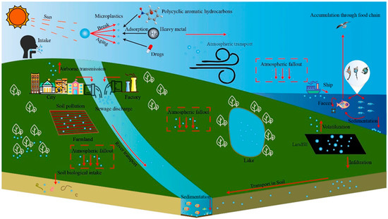 Microplastic Pollution Research Based on the VOS Viewer
