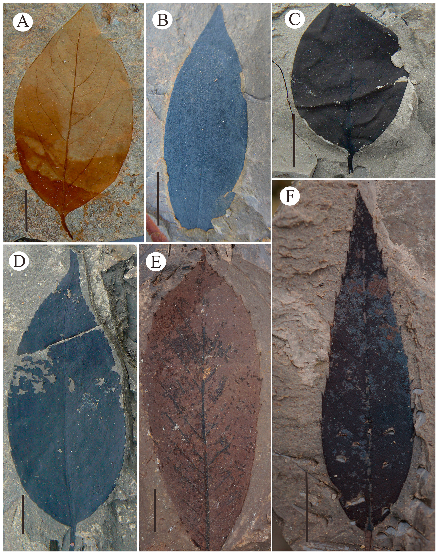 Atmosphere 14 00986 g003 Atmosphere 14 00986 g003