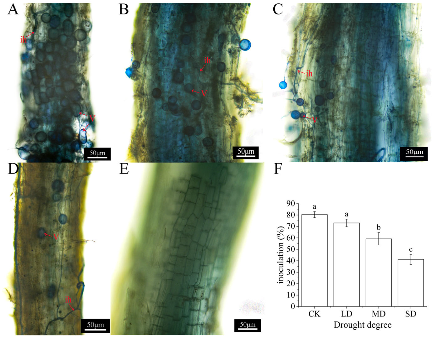 Atmosphere 14 00989 g001 Atmosphere 14 00989 g001