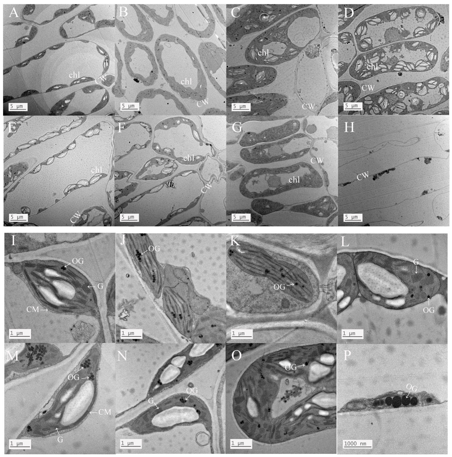 Atmosphere 14 00989 g004 Atmosphere 14 00989 g004